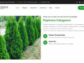 Pepiniera Calugareni martie 2023 vanzari plante ornamentale